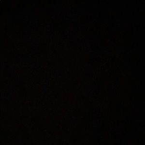 Meet your Posher, Trisha